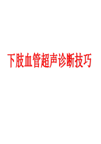 下肢血管超声诊断