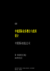 亚商咨询－中视国际管理咨询第一阶段报告(1)