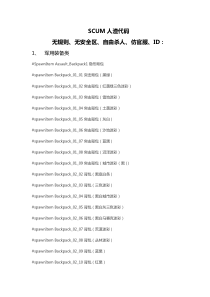 SCUM代码