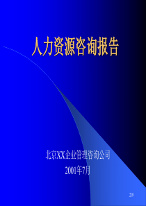 人力资源咨询报告(PPT 258)