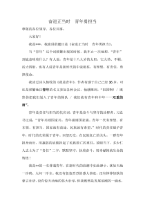 《奋进正当时,青年勇担当》演讲稿