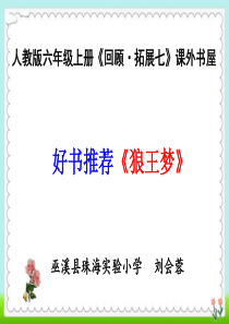 好书推荐《狼王梦》