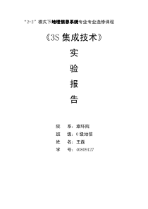 《3S集成技术》实验报告(王磊)