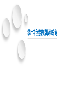实验说课 绿叶中色素的提取和分离
