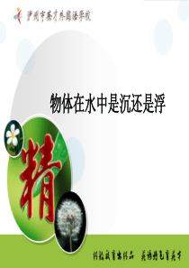 《物体在水中是沉还是浮》说课稿