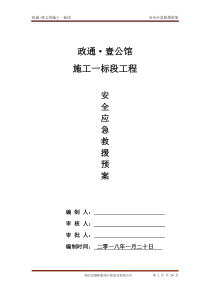 安全应急预案