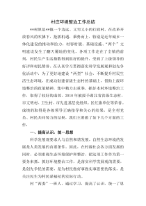 村庄环境整治工作总结