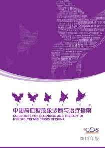 中国高血糖危象诊断与治疗指南