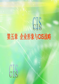 第五章企业CIS战略