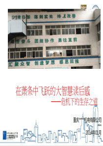 在萧条中飞跃的大智慧心得