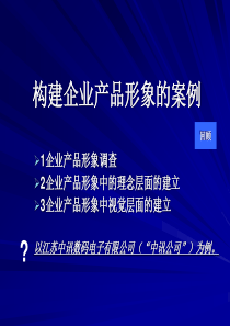 第四章(6)建立企业产品形象的案例