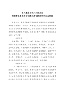 农兴乡民主生活会方案