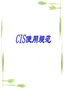 统一CIS规范手册