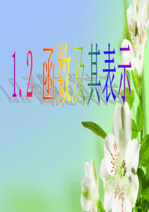 人教A版高中数学必修一函数概念课件