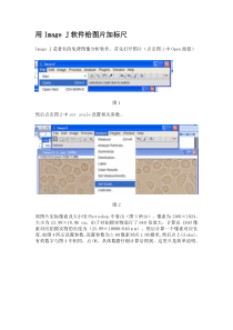Image J软件给图片添加标尺