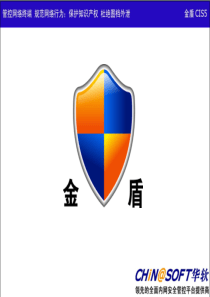 金盾全面内网安全与网络行为管理软件（金盾CIS5）