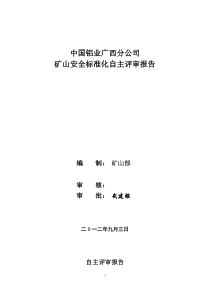 矿山安全标准化自评报告12