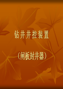 钻 井 井 控 装 置(课件)