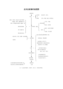 皮内注射操作流程图