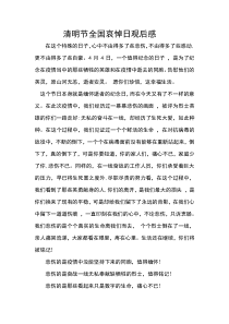 清明节全国哀悼日观后感