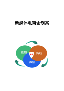 新媒体电商企划案