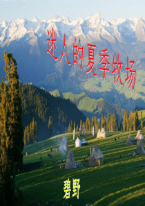 17课 迷人的夏季牧场