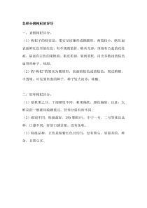 柴达木枸杞的介绍(较详细)