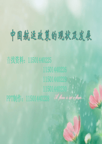 中国航运政策的现状
