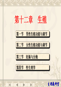 生理学——生殖系统课件