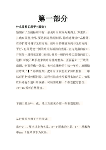 君子兰养殖技巧、辨认好坏技巧大全(带图片)