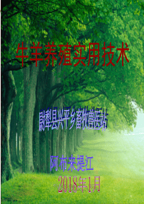2018年牛羊养殖技术培训 ppt