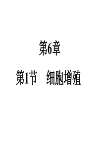 细胞增殖PPT课件