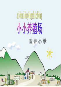 小小养殖场2
