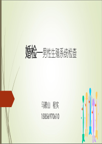 婚检—男性生殖系统检查