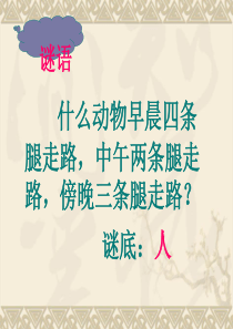 《人是一根能思想的苇草》ppt