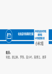 化妆品调研方案汇报