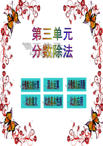 第三单元-分数除法复习