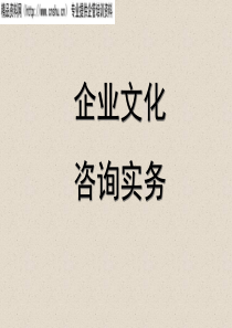 企业文化咨询实务（PPT539页）
