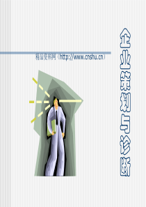 企业策划与诊断