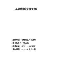工业废渣综合利用项目