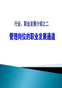 职业发展通道讲义李绍海
