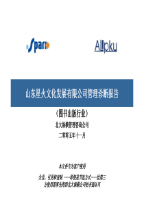 企业诊断报告1