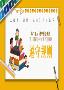 人教版道德与法治八年级上册-3.2遵守规则--课-件24张PPT)