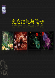 运动与免疫细胞简介