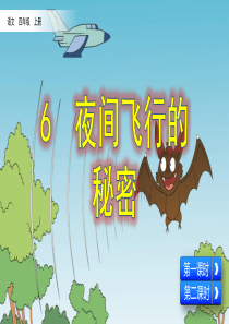 部编版四年级上册语文《6.夜间飞行的秘密》优秀课件ppt