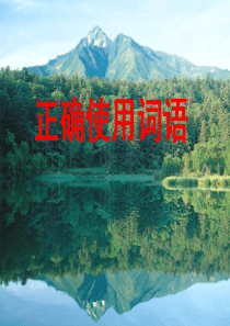 《正确使用词语》课件ppt