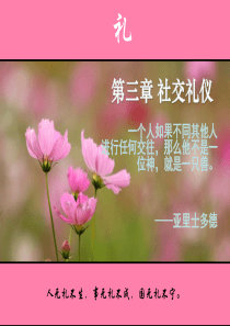 会面礼仪_2