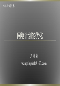网络计划的优化