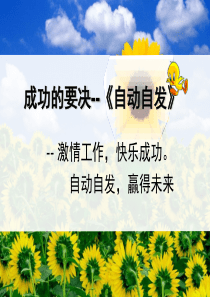 《自动自发》