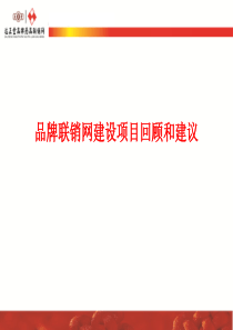 医药公司咨询管理项目整体回顾简介-V12